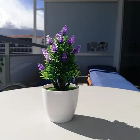 Apartamento Muy Moderno Con Vistas Puerto de la Cruz (Tenerife)